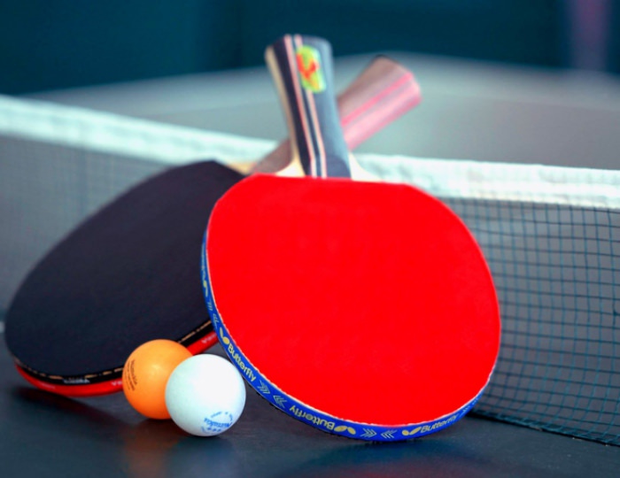 Настольный теннис - Парк-отель «Анива»