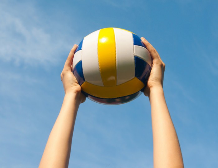 Волейбольная площадка - Парк-отель «Анива»