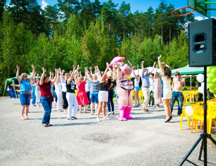 Анимация - Парк-отель «Анива»